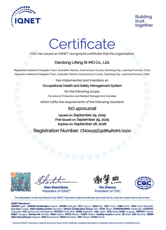 OCCUPATIONAL HEALTH AND SAFETY MANAGEMENT SYSTEM CE