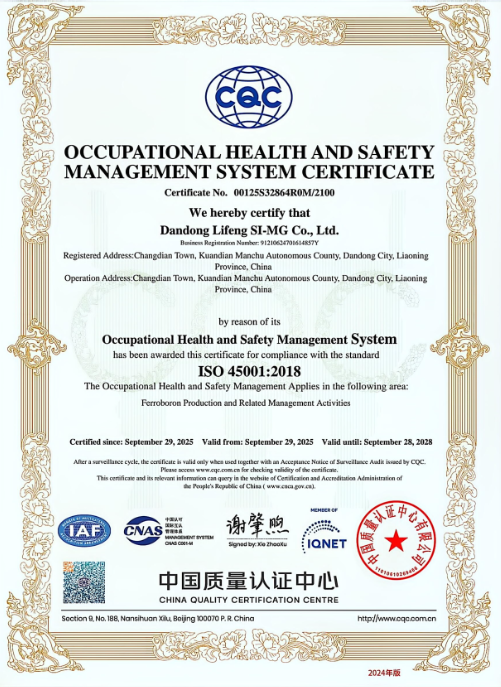 OCCUPATIONAL HEALTH AND SAFETY MANAGEMENT SYSTEM CE